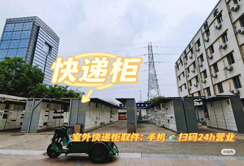图片3